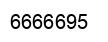 Number 6666695 black image