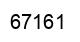 Number 67161 black image