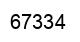 Number 67334 black image
