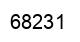 Number 68231 black image