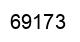 Number 69173 black image