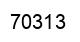 Number 70313 black image