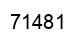 Number 71481 black image