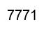 Número 7771 imagen negro