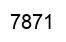 Número 7871 imagen negro