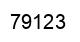 Number 79123 black image