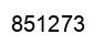 Number 851273 black image