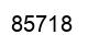 Número 85718 imagen negro