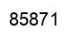Number 85871 black image