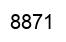 Número 8871 imagen negro