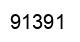 Número 91391 imagen negro