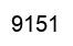 Number 9151 black image