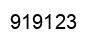 Number 919123 black image
