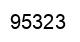 Number 95323 black image