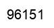 Número 96151 imagen negro