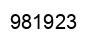 Number 981923 black image