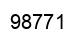 Number 98771 black image