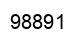 Número 98891 imagen negro