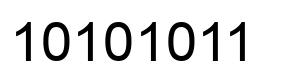 Número 10101011 imagen negro