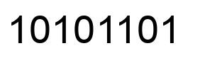 Number 10101101 black image