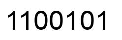 Number 1100101 black image