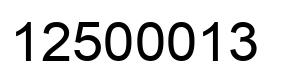 Number 12500013 black image