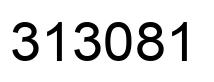 Number 313081 black image
