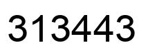 Number 313443 black image