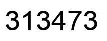 Number 313473 black image