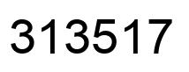 Number 313517 black image