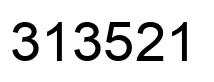 Number 313521 black image