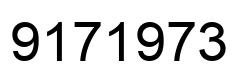 Number 9171973 black image