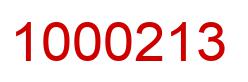 Number 1000213 red image