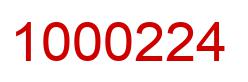 Number 1000224 red image