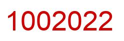 Number 1002022 red image