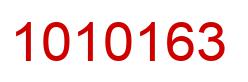Number 1010163 red image