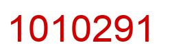 Number 1010291 red image