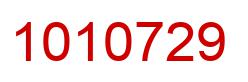 Number 1010729 red image