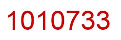 Number 1010733 red image