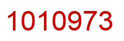 Number 1010973 red image