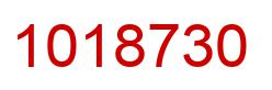 Number 1018730 red image