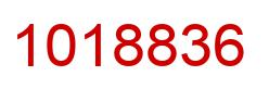 Number 1018836 red image