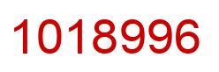 Number 1018996 red image