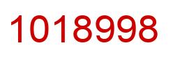 Number 1018998 red image