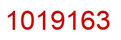 Number 1019163 red image