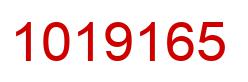 Number 1019165 red image