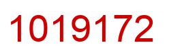 Number 1019172 red image
