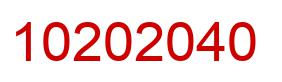 Number 10202040 red image