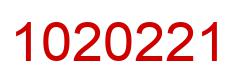 Number 1020221 red image