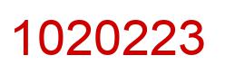 Number 1020223 red image